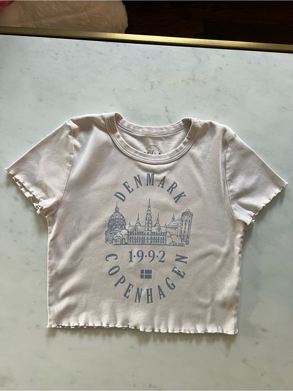 RS/LA Los Angeles California Denmark Copenhagen Graphic Crop Top Size S